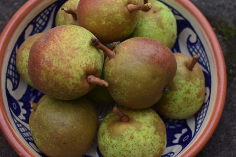 Bowl of Beth pears